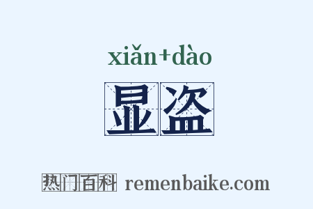 显盗是什么意思的图片